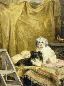 三匹の犬 作： Charles van den Eycken